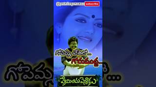 Gopemmachetilo Gorumudda