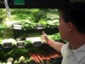 Do I Need to Eat Organic Produce on a Raw Food Diet? and More on this Grocery Store Tour