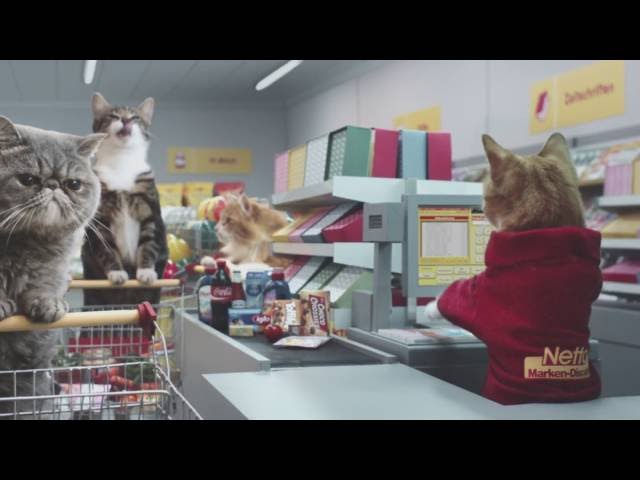 Meme Cats Go Grocery Shopping In German Commercial - Video