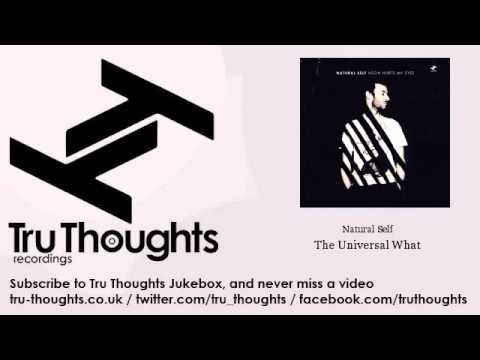 The Universal What Video