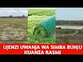 Simba Kicheko tu, Kuanza Ujenzi wa Uwanja wake wa Bunju Kwaajili ya Mazoezi