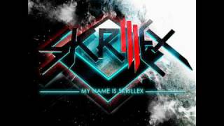 Watch Skrillex With Your Friends video