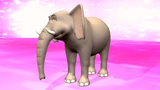 Stomping Like an Elephant - The New Elephant Song 🐘🐘🐘