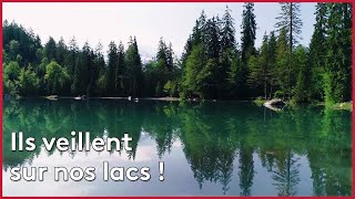 Haute-Savoie : nos lacs sont-ils menacés ?