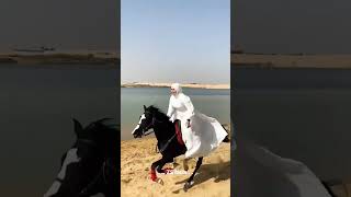Wanita Arab Cantik Jago Naik Kuda