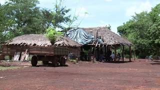 Caminhos Da Reportagem Indígenas, A Luta Dos Povos Esquecidos