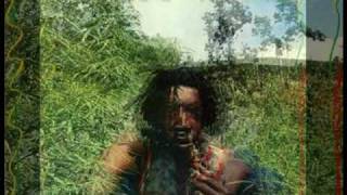 Watch Peter Tosh Shame And Scandal video