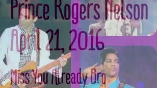 Watch Prince Mr Nelson feat Lianne La Havas video