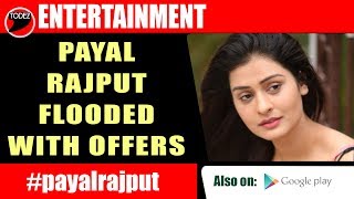 Payal Rajput The Rx100 Actress In Demand
