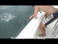 Morehead City