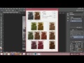 Photoshop Tutorial - Using Color Variation Tool