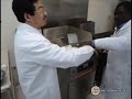 instant noodles