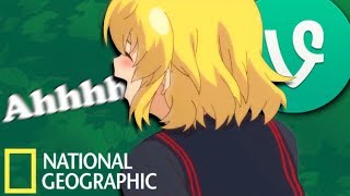 Anime Vines / Crack FEELS GOOOOOOD #193