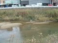 Watch: wwwww 変なものが wwwww wwwww 変なものが wwwww