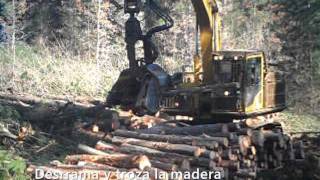 Procesos Forestales Ucm