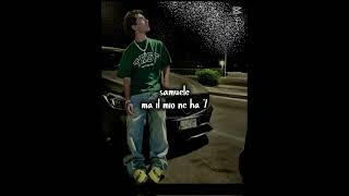 Il Mio 7