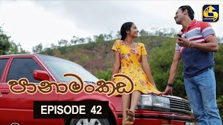 Panamankada Episode 42