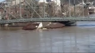 Sound Up Loose Marina Scs The Singing Bridge While Floating Down The Kentucky River