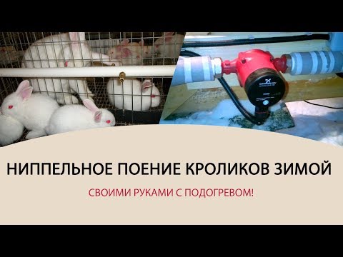 Ниппельные поилка для кроликов своими руками Ниппельные поилка для кроликов своими руками