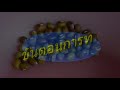การเพาะถั่วงอก
