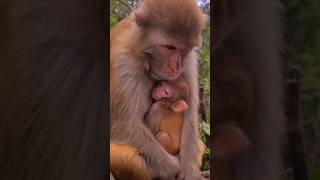 Mom Is Always Mom