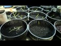 Big money in worm waste