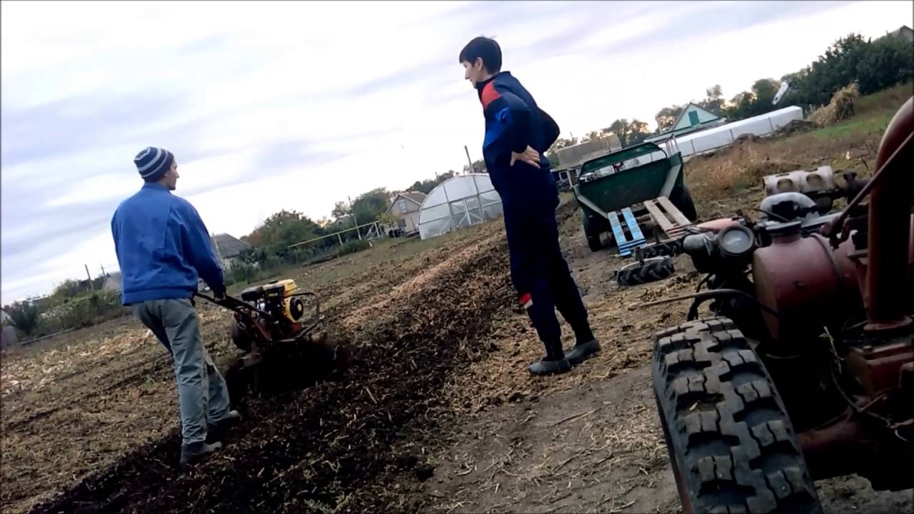 Видео Cached