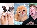 Try Not To Say AWW Challenge.. (VERY HARD)