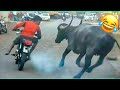 Funny Videos Compilation 🤣 Pranks - Amazing Stunts-by Mr Vava#36