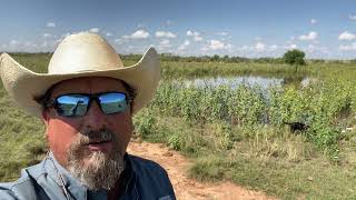 2022 Dove Season is upon us!