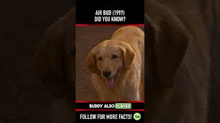 Did You Know This About Air Bud 1997?