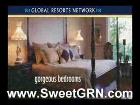 Freelance Writer/Editor 