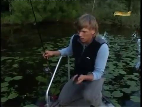 клев рыбы комсомольск на днепре клев рыбы комсомольск на днепре