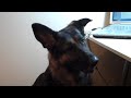 Morgan doesn't understand Skype