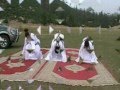 ahbbar houssa