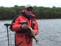 Lady Evelyn Lake Fishing - Due North #3