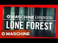 LONE FOREST - Dub Techno Expansion Demo Kit All Patterns Maschine NI