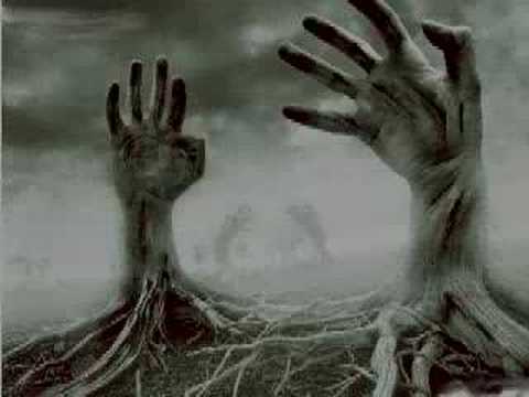 Penna, Mi nasconda la notte