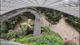 Nature Lovers Walk ,The Juric World 2