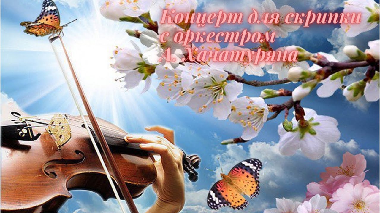 Нежная скрипачка ласкает себя во время музицирования
