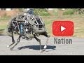 Get Ready for the Robot Invasion! | YouTube Nation | Saturday