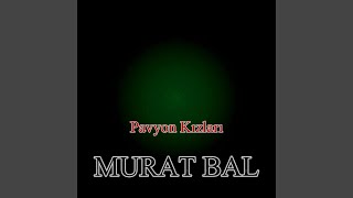 Pavyon Kizlari