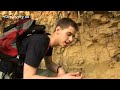 grylls