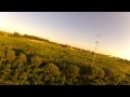 RIPcombat