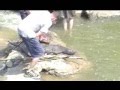 Noodling Dangers Of Noodling | RM. Noodling Dangers Of Noodling | RM.
