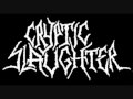 Deathstyles Of The Poor & Lowly Video preview