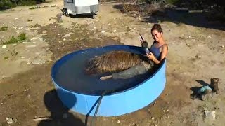 Maya Does Her First Hot Tub Stream