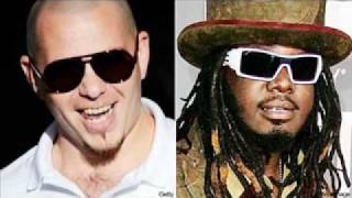 Watch Pitbull Shake Senorita (Ft. T-pain) video