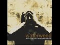waterweed - The Earth Killer