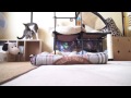 猫のお気に入り毛布 - Ohagi's Favorite Blanket -
